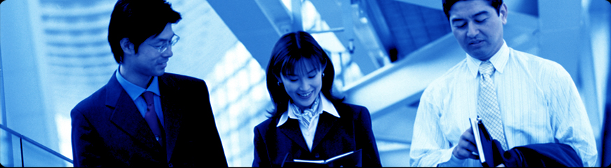 Synergy Search International (SSI)