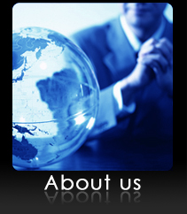 Synergy Search International (SSI)