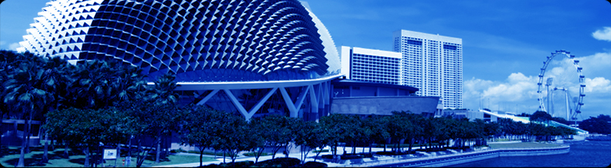 Synergy Search International (SSI)