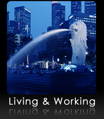 Synergy Search International (SSI)