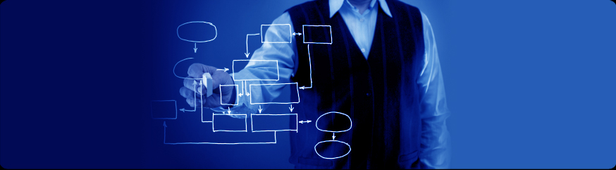 Synergy Search International (SSI)