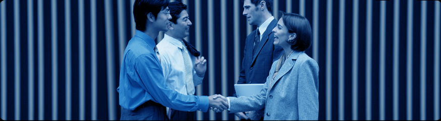 Synergy Search International (SSI)